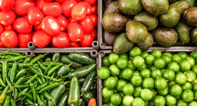México exportará 83% de productos agroalimentarios a Europa sin aranceles tras modernización del TLCUEM