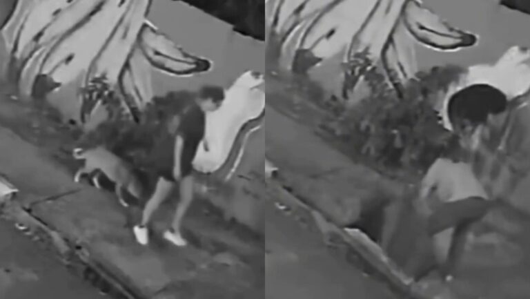Mujer cae a alcantarilla mientras paseaba a su perro en Brasil.