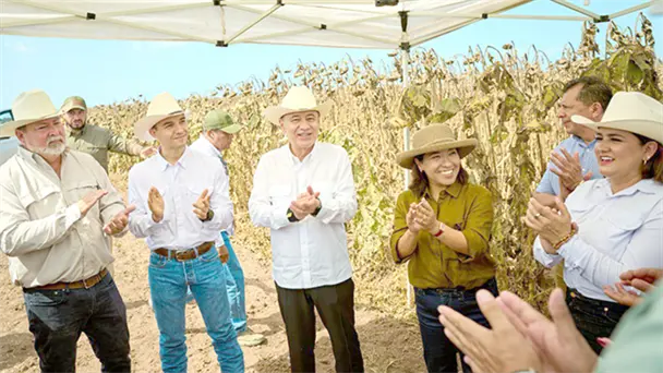 Impulsan reconversión productiva en el sur de Sonora para fortalecer la economía regional Impulsan reconversión productiva en el sur de Sonora para fortalecer la economía regional