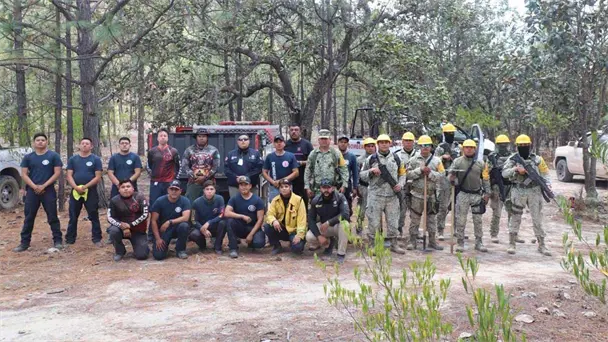 Incendios forestales afectan la sierra de Álamos en Sonora Incendios forestales afectan la sierra de Álamos en Sonora