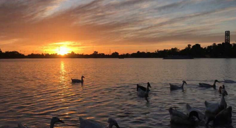 Conagua alerta por calor extremo y tolvaneras en Sonora este 16 de mayo de 2026 Conagua alerta por calor extremo y tolvaneras en Sonora este 16 de mayo de 2026