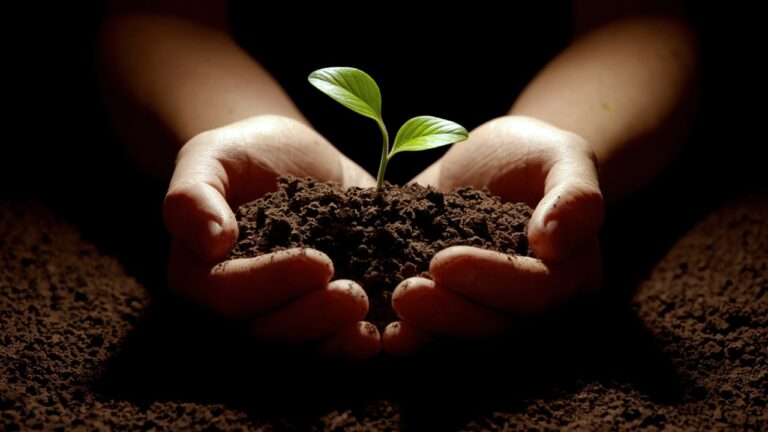 Cool Cities Lab impulsa reforestación para mitigar islas de calor en Hermosillo