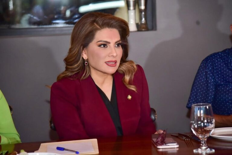 Lorenia Valles solicita licencia en el Senado para buscar candidatura a la gubernatura de Sonora