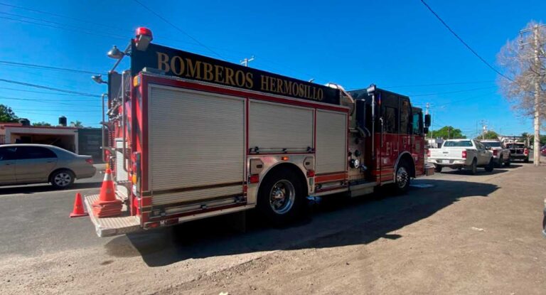 Dos trabajadores resultan heridos tras ataque de enjambre de abejas en obra en Hermosillo