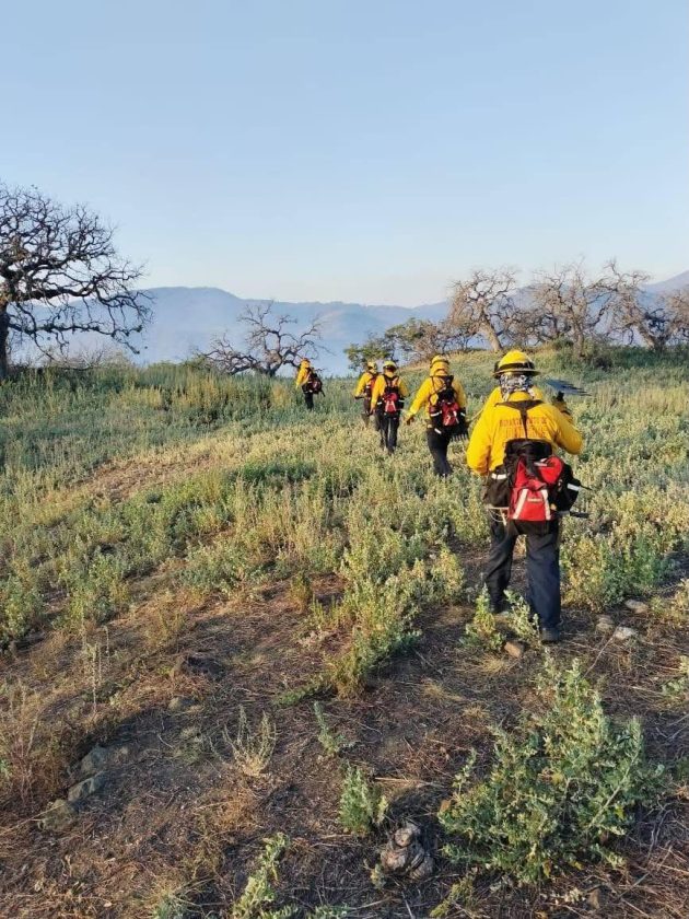 Controlan incendio forestal La Casita en Arivechi tras trabajo coordinado del Gobierno de Sonora