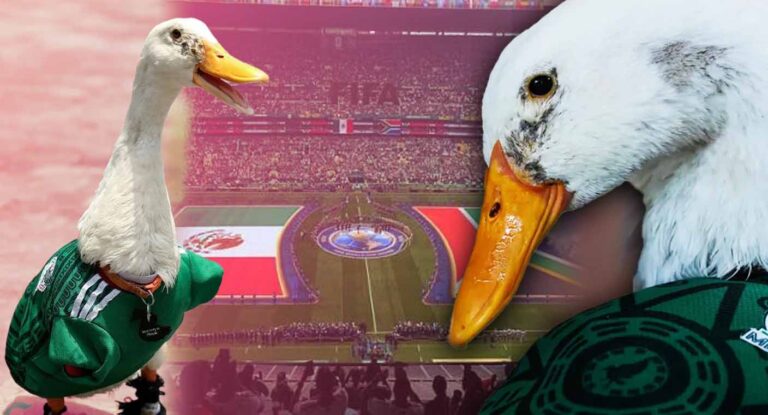 Merlín, el pato viral de México, es embajador oficial del Mundial 2026