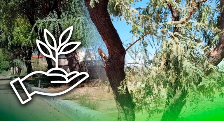 Especialista señala que parques en Hermosillo deben contar con hasta 40% de áreas verdes