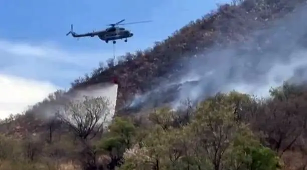 Controlan 70% del incendio forestal en Tarachi, Sonora
