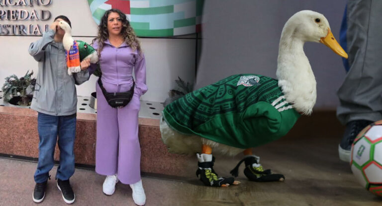 IMPI confirma que la marca del Pato Merlín pertenece a la familia de la mascota