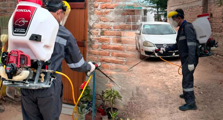 Sonora intensifica fumigación en más de 2,600 viviendas para prevenir rickettsia en temporada de calor