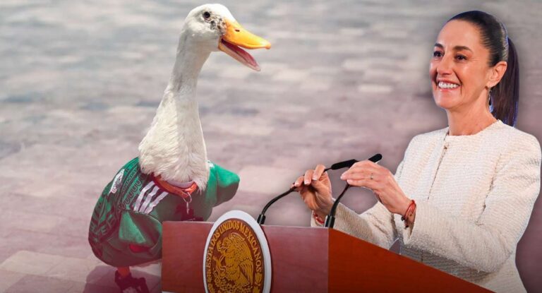 Claudia Sheinbaum podría invitar a ‘Merlín’, el pato viral del Mundial, a la ‘Mañanera’