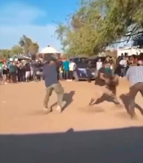 Controversia en Etchoropo por tradición de peleas de gallos en Huatabampo