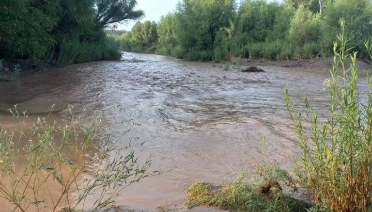 Rescatan con vida a adulto mayor y acompañante arrastrados por corriente en Arizpe