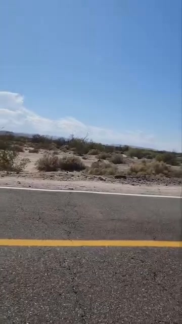 Coyote es hidratado y luego perseguido en carretera Mexicali-San Felipe, Sonora