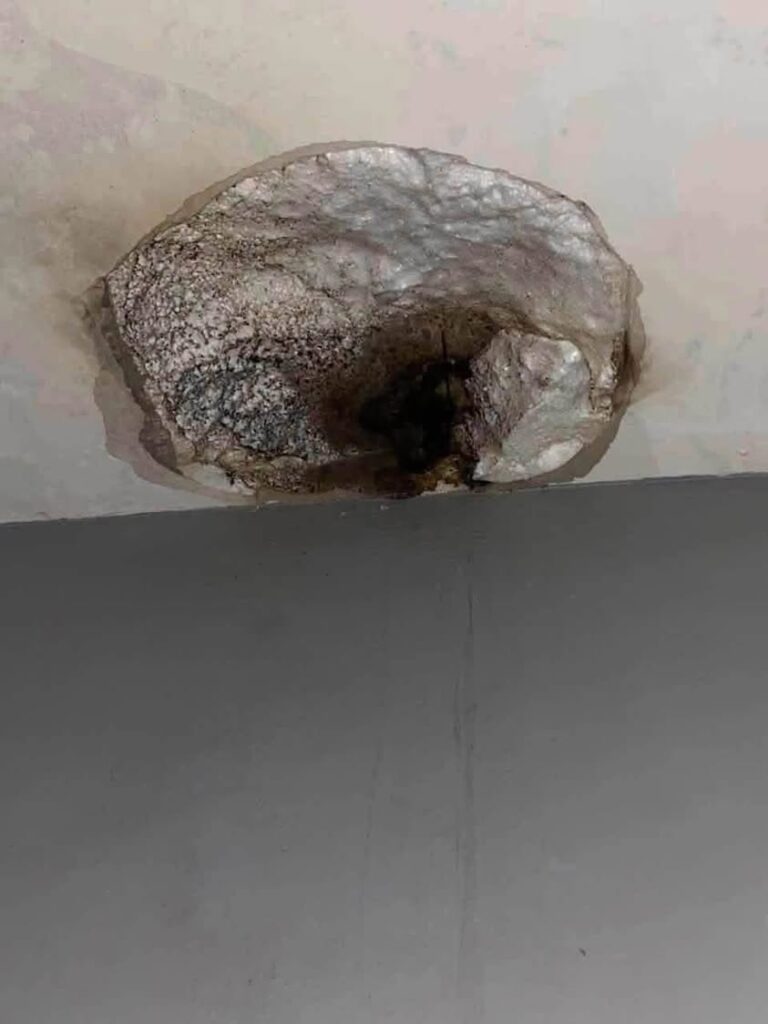Rayo impacta vivienda en La Cruz, Elota y provoca daños materiales