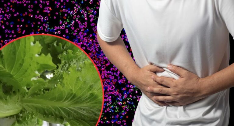Cofepris descarta presencia de Cyclospora en lechugas y agua de Taylor Farms México
