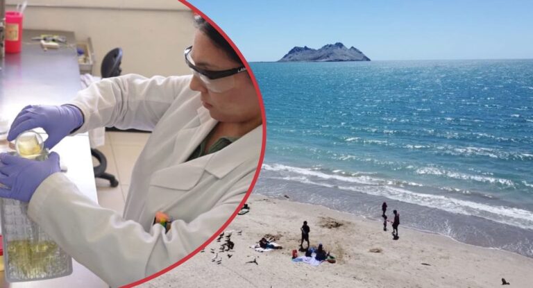 Playas de Sonora cumplen con normas sanitarias para temporada vacacional