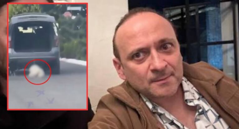 Muere Rocky tras ser arrastrado por camioneta en Saltillo; detienen a pareja involucrada