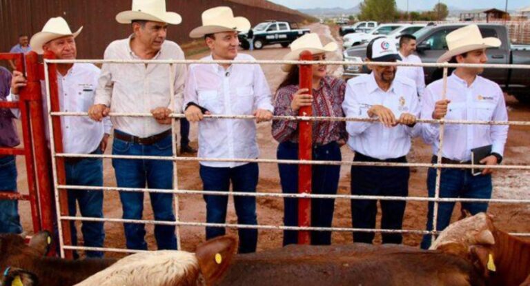 Sonora logra reapertura gradual de frontera para exportación de ganado a EE.UU.