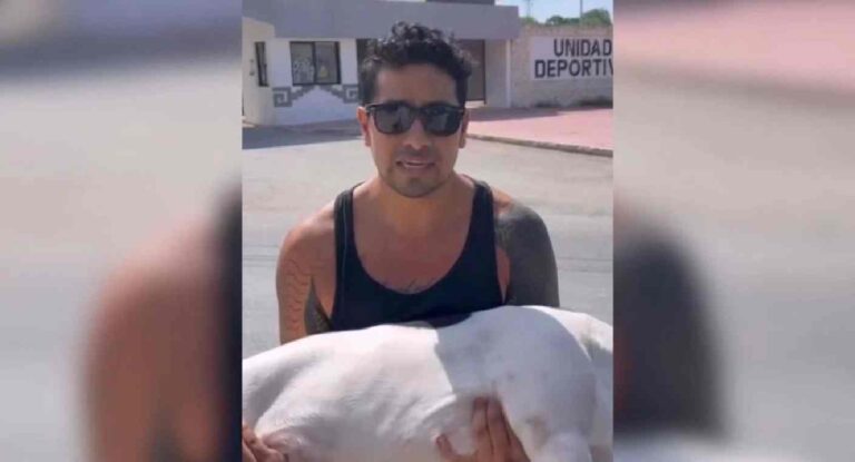 Investigan muerte de perro por posible envenenamiento en deportivo de Tulum tras amenazas en redes