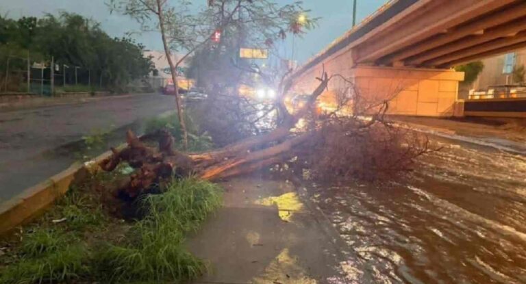 Lluvias provocan 73 incidentes en Hermosillo; Ures registra mayor acumulación de agua en Sonora