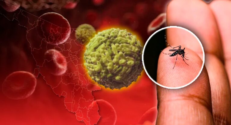 Sonora lidera casos de dengue y es segundo en rickettsiosis en México