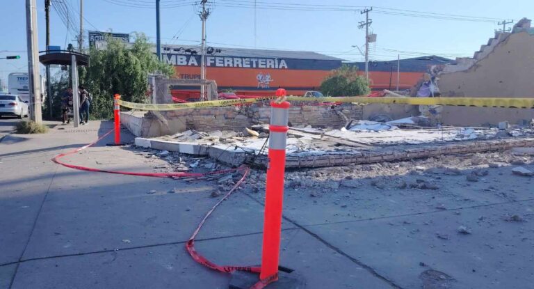 Bomberos atienden más de 50 reportes por caída de árboles y postes tras lluvia en Hermosillo