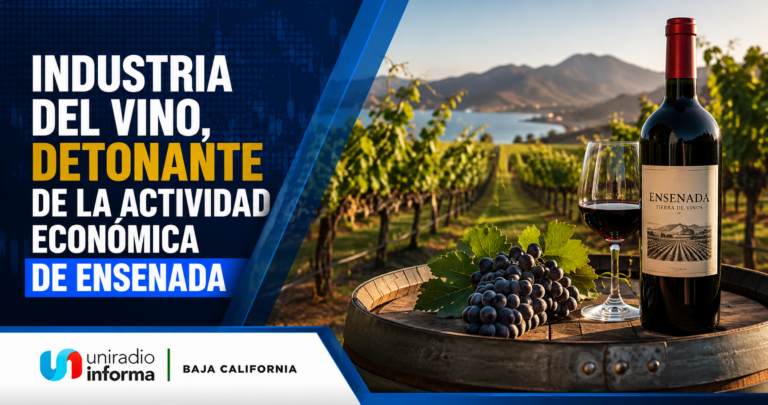 Industria del vino impulsa la economía de Ensenada más allá de la Vendimia