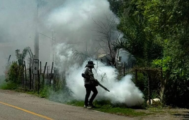 Gobierno de Sonora intensifica fumigaciones intradomiciliarias para combatir el dengue