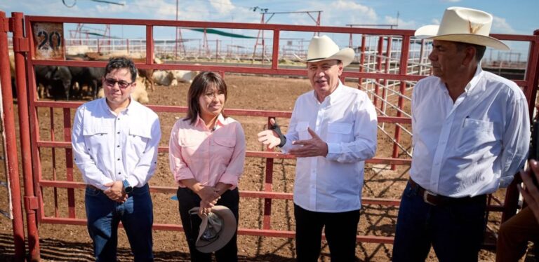 Sonora reanuda exportación de ganado a Estados Unidos tras 641 días de cierre