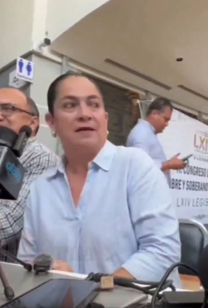 Diputada priista Pilar Vadillo critica con dureza a AMLO y su hijo Andy