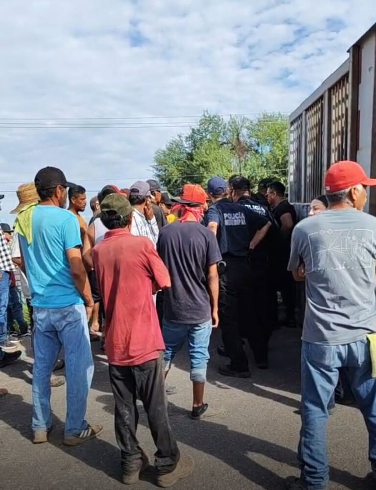 Tráiler cargado con cerdos vuelca en Navojoa; policía evita rapiña