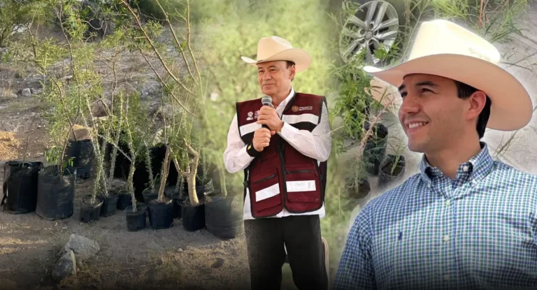 Avanza reforestación con 13 mil árboles en Cerro de la Cementera, Hermosillo