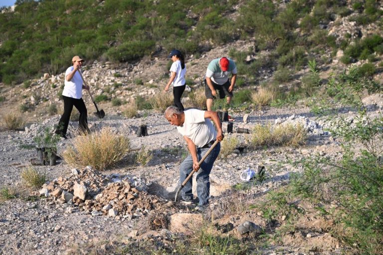 Gobernador Durazo encabeza Jornada Nacional de Reforestación en Sonora 2026