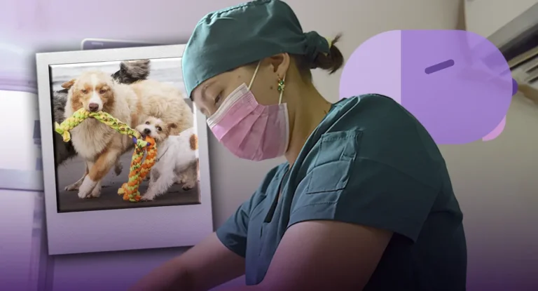 Ayuntamiento de Hermosillo lanza jornada gratuita de esterilización para perros y gatos