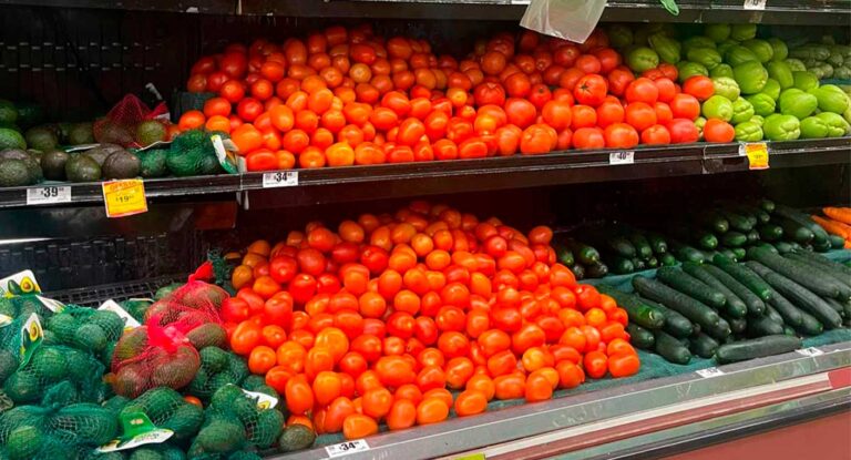 Precio del tomate baja hasta 18 pesos por kilo en el sur de Sonora