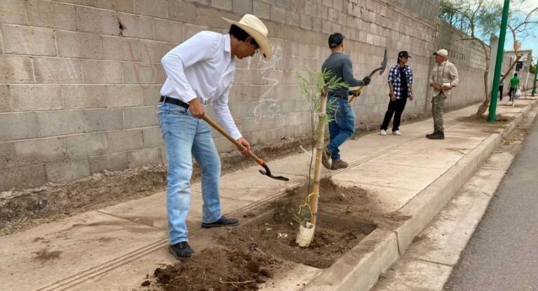 Grupos ambientalistas plantan 24 árboles en el sur de Hermosillo