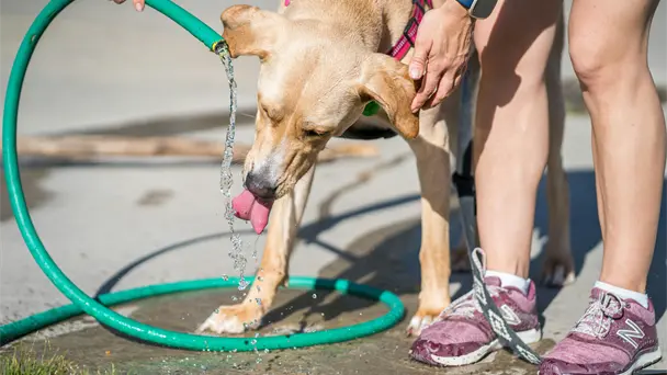 Hermosillo enfrentará calor extremo de hasta 47°C con alta sensación térmica este viernes