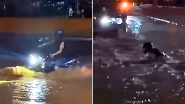 Rescatan a motociclista arrastrado por arroyo crecido en Nogales durante lluvias