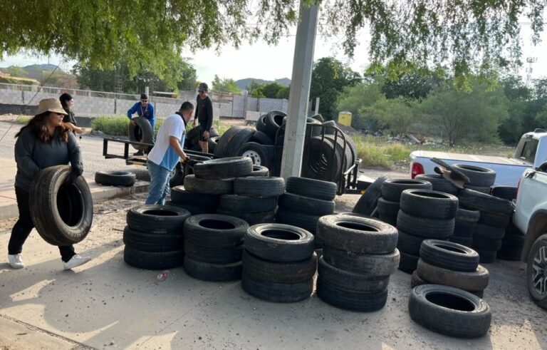 Retiran 276 llantas en Palo Verde y evitan emisión de 4.6 toneladas de CO2