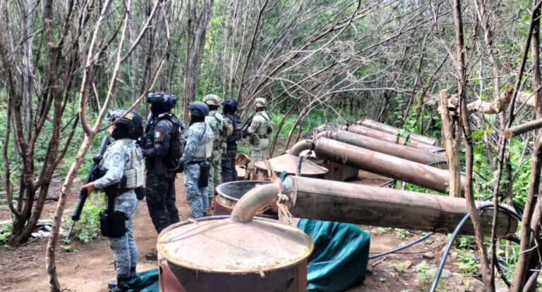 Desmantelan cuatro laboratorios de drogas sintéticas en Michoacán y Guerrero