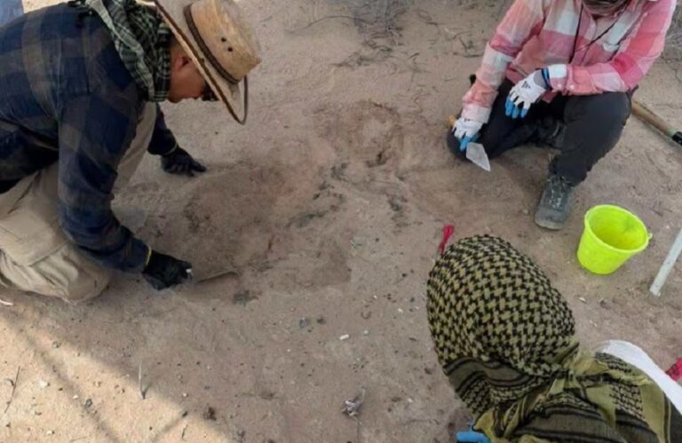 Madres buscadoras hallan posible zona de exterminio con 10 fosas en Viesca, Coahuila