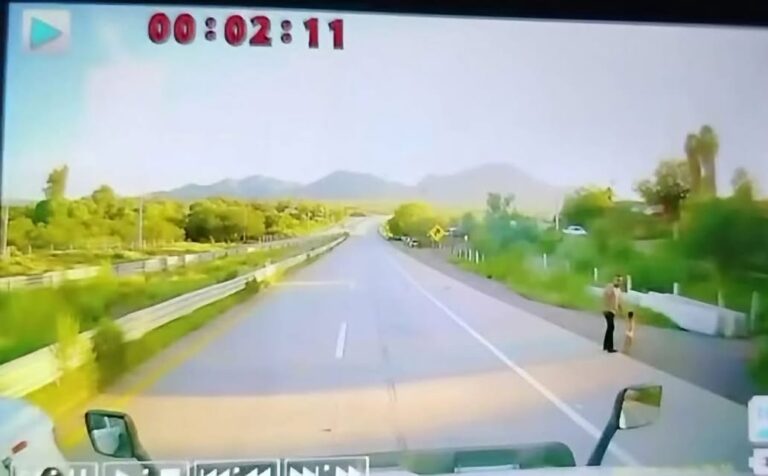 Trailero rescata a niño que deambulaba solo en carretera Internacional Nogales-Magdalena