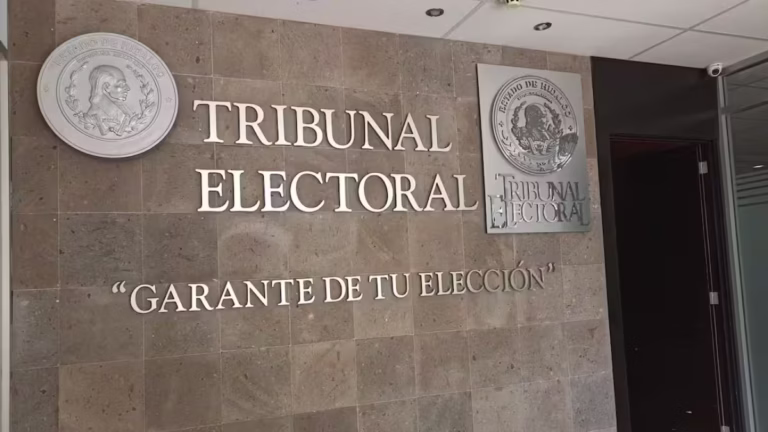 Tribunal Electoral ordena al INE restablecer verificación de observadores electorales