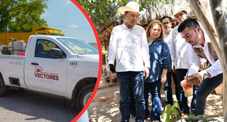 Sonora intensifica acciones contra dengue, Zika y chikungunya en Segunda Jornada Nacional