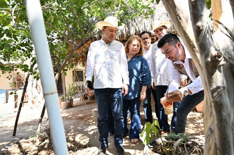 Gobernador Durazo impulsa medidas contra dengue, Zika y chikungunya en Sonora
