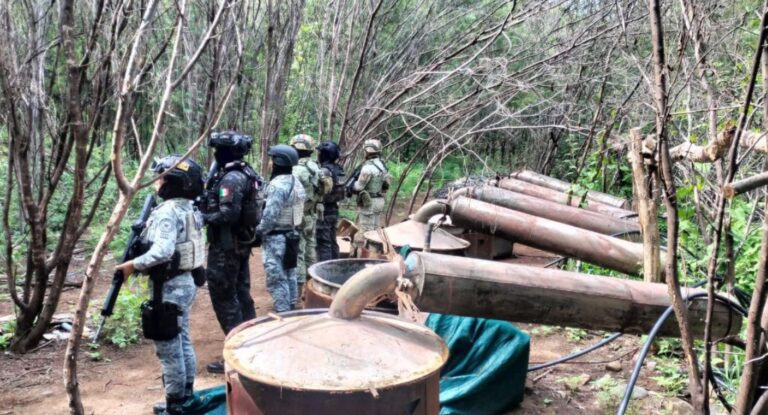 Autoridades desmantelan cuatro narcolaboratorios en Michoacán y Guerrero