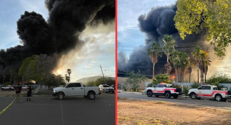 Incendio consume empresa recicladora en el sur de Hermosillo sin lesionados