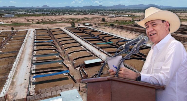 Sonora busca duplicar exportación diaria de ganado a EE.UU. y refuerza control sanitario