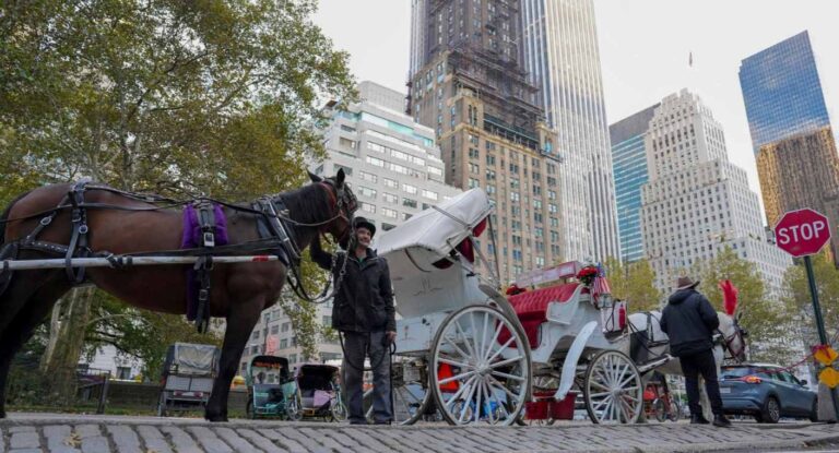 Nueva York prohíbe carruajes tirados por caballos en Central Park desde 2028
